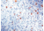 Diagnostic Biosystems Lambda Light Chain CONC. Mab MOB 201