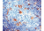 Diagnostic Biosystems CD68 Macrophage Rtu Mab PDM 065