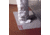 Dycem ANTI-FATIGUE Mat 3' X 4' CC02/AF/34