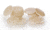 EP Scientific Flat Disc CS144 S24-400-S2