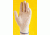 Erie Scientific Glove Liners Wht Knit Lrg PK12 51003-12-001