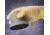 Foamtec Ergoscrub Firm Handle Psa CS10 FT950
