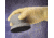 Foamtec Handle Erg Soft HOOK+LOOP CS10 FT901