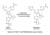 G-Biosciences Cytotoxicity Assay WST1 500 786-212