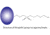 G-Biosciences Resin Thiophilic Kit 786-266, Unit EA