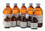 GE FICOLL-PAQUE Plus 6X100 Ml PK6 17-1440-02