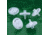 GE Paradise 25 Te 1.0UM PK1000 6798-2510
