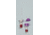 Iris Sample Processing Fingerstick Collection Sy BX50 SS1E