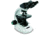 Konus Biorex Biological Microscope w/ Infinity-1 System