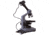 Levenhuk D320L PLUS 3.1M Digital Monocular Microscope, Optical Glass, 40-1600x, 23.2mm, Grey/Black, Middle, 73796