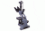 Levenhuk D740T 5.1M Digital Trinocular Microscope, Grey, Medium 69658