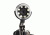 Levenhuk DTX 50 USB Digital Microscope,Black,20-400x,1.3MP Digital Camera 61021
