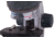 Levenhuk LabZZ M101 Moonstone Microscope, Moonstone, 69057