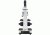 LW Scientific Advanced Student Microscope with Achromate Objectives, CREAM EDM-M04A-DALP