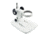 LW Scientific DM Stereo Microscope Pole-Mount Stand Base, No Light, DMB-BSEP-7777