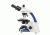 LW Scientific Innovation Infinity Biological Microscope, Plan, Binocular, 4 Objectives 4x-10x-40x-100x, INM-B04A-IPL3