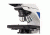 LW Scientific Innovation Infinity Biological Microscope, Plan, Binocular, 4 Objectives 4x-10x-40x-100x, INM-B04A-IPL3