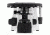 LW Scientific Innovation Infinity Biological Microscope, Plan, Binocular, 4 Objectives 4x-10x-40x-100x, INM-B04A-IPL3