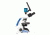 LW Scientific Innovation Trinocular Microscope w/ BioVIEW Camera and  Monitor, INS-T4BV-IPL3
