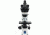 LW Scientific MI5 Trinocular Polarizing Microscope with Infinity Plan Objectives, CREAM M5M-TPOL-iPH3