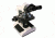 LW Scientific Revelation III Binocular Microscope with Achromat 4x, 10x, 40x, 100x Objectives, CREAM R3M-BN4A-DAL3