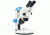 LW Scientific Z4 Binocular Microscope on Dual LED Stand, CREAM Z4M-BZM7-7LL1