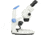 LW Scientific Z4 Zoom Binocular 7x-45x, Dual LED Light Stand Microscope, Z4M-BZM7-7LL3