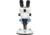 LW Scientific Z4 Zoom Binocular 7x-45x, Dual LED Light Stand Microscope, Z4M-BZM7-7LL3
