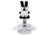 LW Scientific Z4 Zoom Binocular 7-45x Embryo-GLO LED Stand Microscope w/Tilt Mirror, Z4M-BZM7-EML3