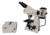 Meiji Techno Halogen Binoculor Epi-Fluorescence Biological Microscope, BEIGE, LARGE MT6200H