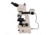 Meiji Techno Halogen Ergo Trino Incident,Transmitted Light BF,DF Metallurgical Microscope, BEIGE, LARGE MT8530EH