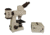 Meiji Techno Halogen Ergonomic Binoculor Epi-Fluorescence Biological Microscope, BEIGE, LARGE MT6200EH
