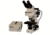 Meiji Techno Halogen Ergonomic Binoculor Epi-Fluorescence Biological Microscope, BEIGE, LARGE MT6200EH