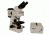Meiji Techno Halogen Ergonomic Binoculor Epi-Fluorescence Biological Microscope, BEIGE, LARGE MT6200EH