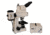 Meiji Techno Halogen Ergonomic Trinocular Epi-Fluorescence Biological Microscope, BEIGE, LARGE MT6300EH