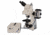 Meiji Techno Halogen Ergonomic Trinocular Epi-Fluorescence Biological Microscope, BEIGE, LARGE MT6300EH