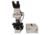 Meiji Techno Halogen Ergonomic Trinocular Epi-Fluorescence Biological Microscope, BEIGE, LARGE MT6300EH