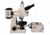 Meiji Techno Halogen Trinocular Epi-Fluorescence Biological Microscope, BEIGE, LARGE MT6300H