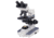Motic Instruments B1-223ASC Compound Microscope 