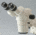 Motic Instruments Head Only SMZ-168-BH PX66.000.001