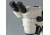 Motic Instruments Head Only SMZ-168-TH PX68.000.001