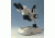 Motic Instruments Stereo Microscope SFC-11A-N2GG PX11.226.101