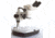Motic Instruments Stereo Zoom Microscope, Each, SMZ Series, Motic Optional Stands Articulating Arm Boom Table Clamp Stand, SP99.0009