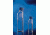 Nalge Nunc EasyFlask Culture Flasks, Polystyrene, Sterile, NUNC 156499 Flasks With Filter Caps