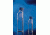 Nalge Nunc EasyFlask Culture Flasks, Polystyrene, Sterile, NUNC 159933 Flasks With Vent/Close Caps