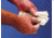 North Safety Products/Haus Fingercot 3MIL Rubber Xl PK144 341LWR/XL