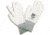 North Safety Products/Haus Gloves Antistatic Xl Pk 12PR NF15ESD/10XL