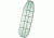 North Safety Products/Haus Wire Basket Stretcher ST/1597