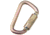 DBI-SALA Steel Lgcarabiner 3 600 Lb 098-2000114, Unit EA