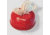 Pick International Glove Dispenser GC-50